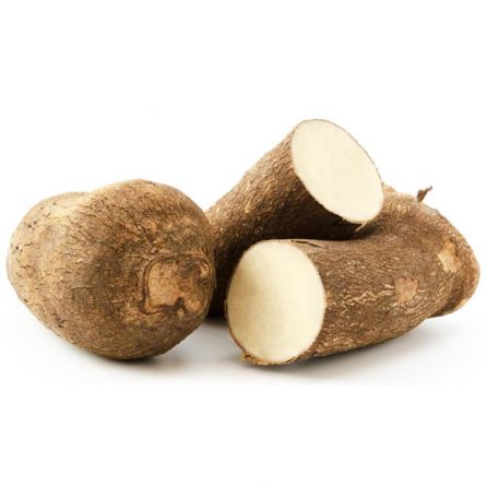 White Yam